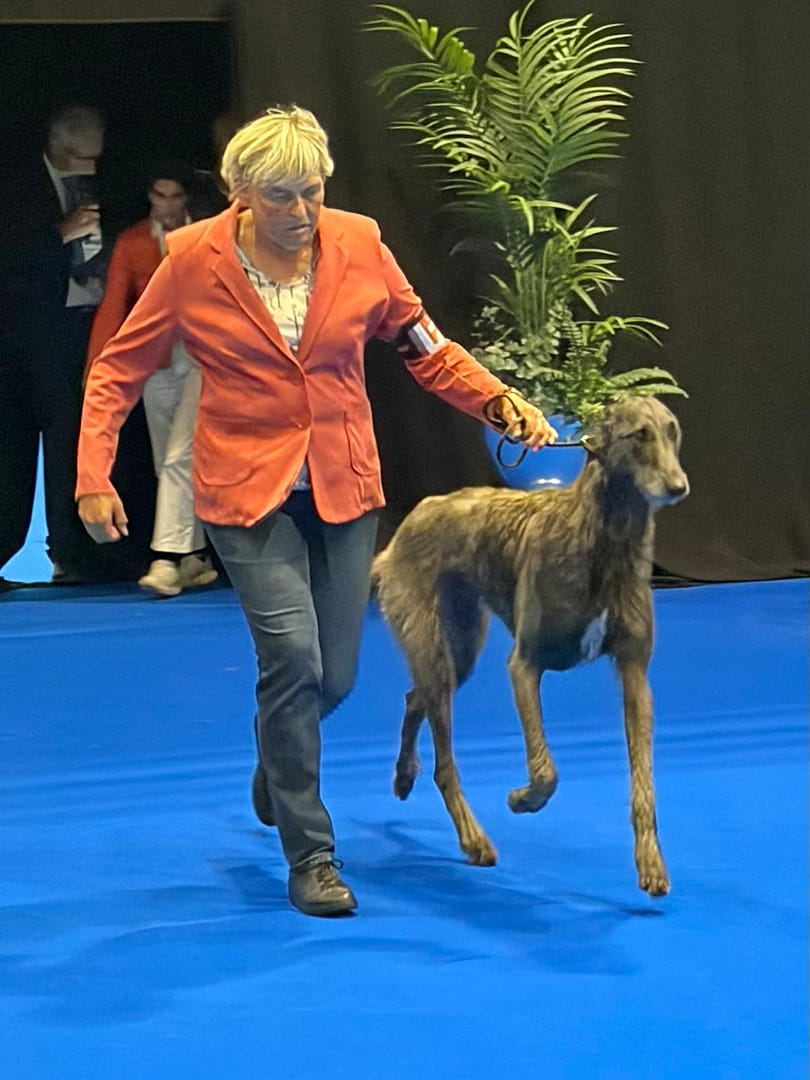 Genf CACIB – 3 03.10.2026