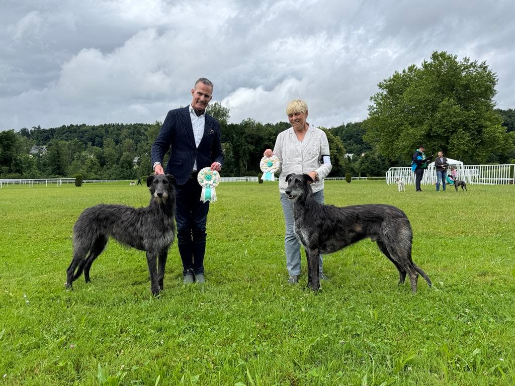 FCI EuroSighthound Show Aarau 07.06.2025