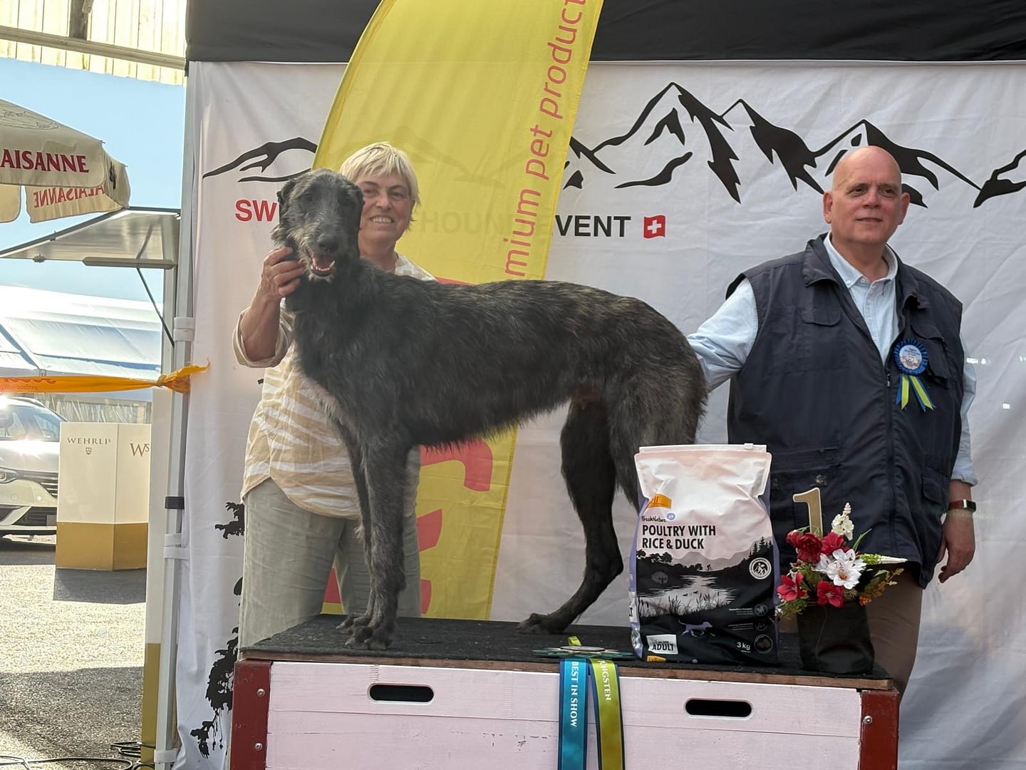 CAC Swiss Sighthound Event CAC Show