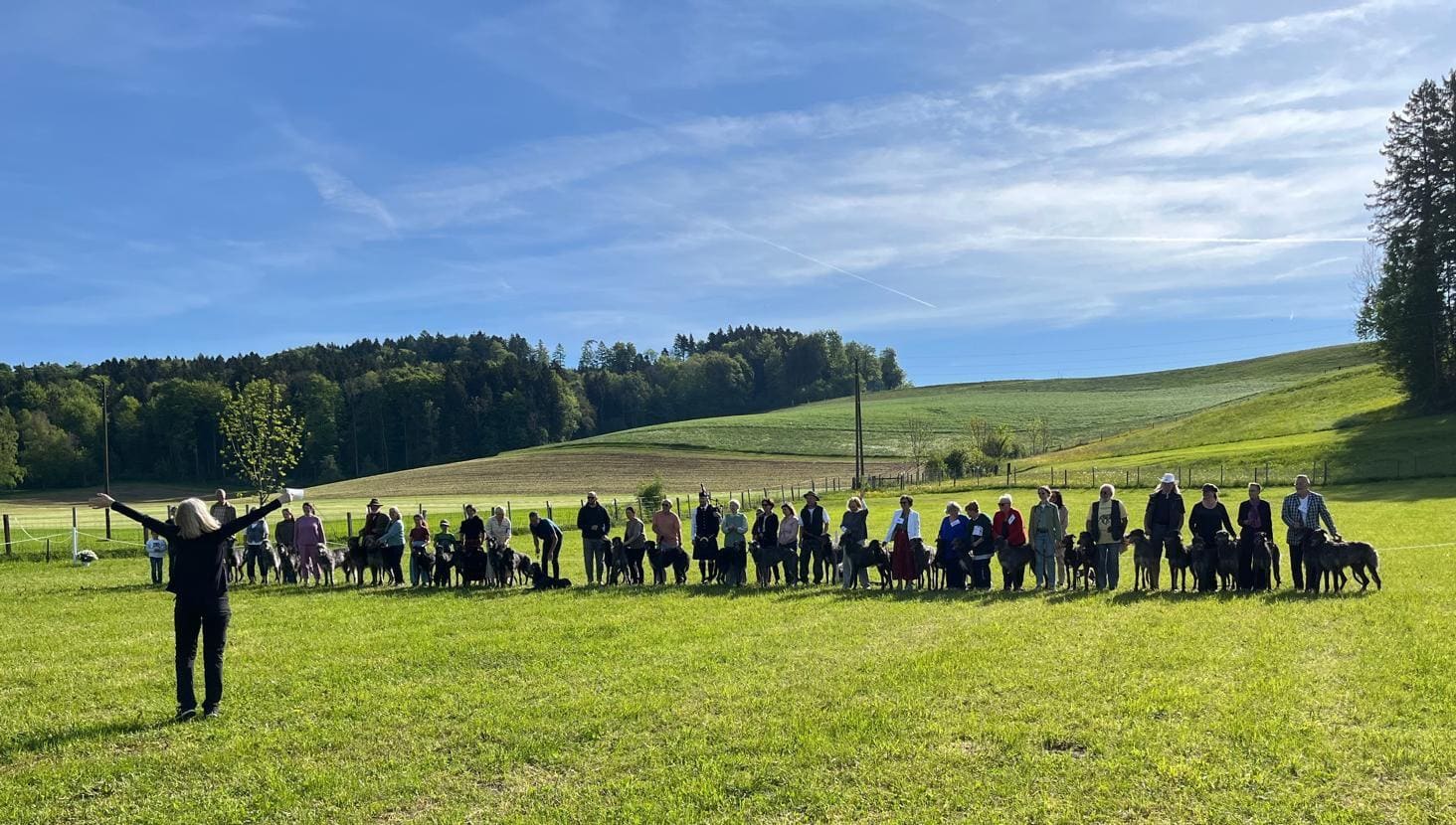 40 Jahre Deerhound-Club der Schweiz – Ergebnisse