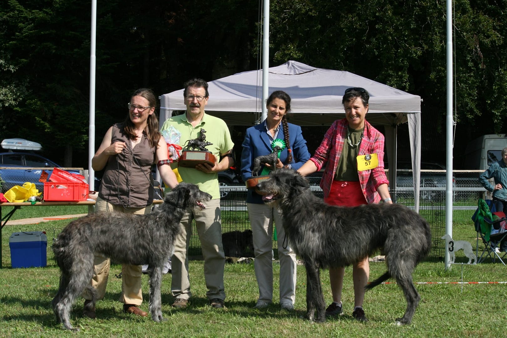 Swiss Deerhound club Show August 2019