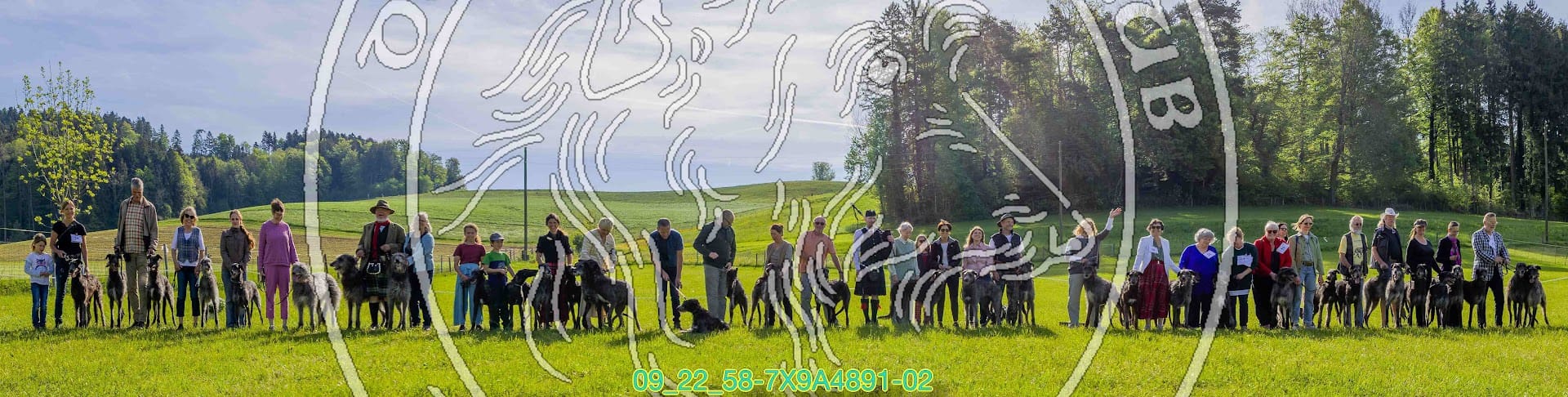 40 Jahre Deerhound-Club der Schweiz – Photos