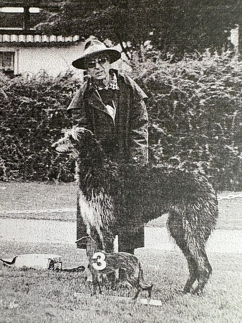 40 Jahre Deerhound-Club der Schweiz – 40 Jahren History