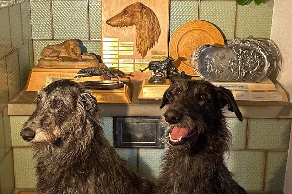 Islay’s Q und Tochter Atatitla Transylwahnjablood mit Trophäen