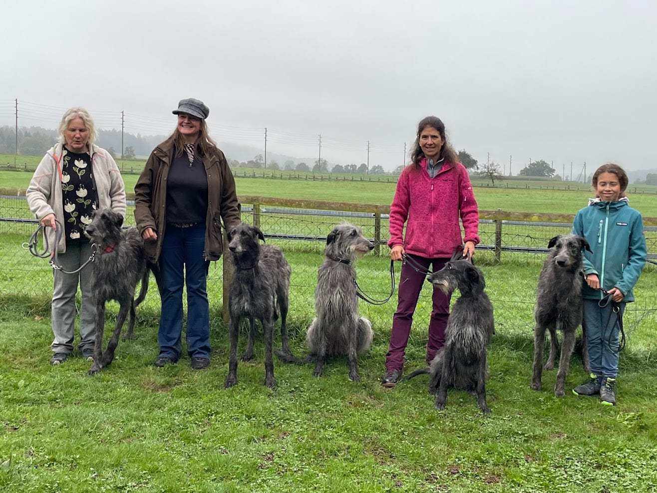 Deerhounds ZZP 2024 Deerhounds ZZP 2024